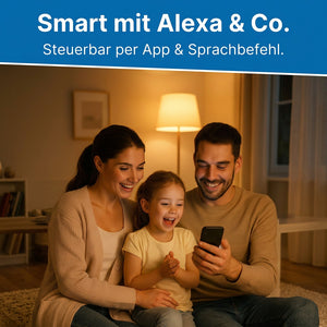 Kompakt Set mit kinetischem Funkschalter und Empfänger smart