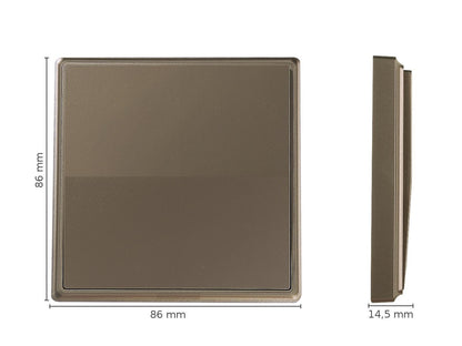 Smart Home Set / E-Serie / gold / 1x 1-fach Schalter / 1x Empfänger C309